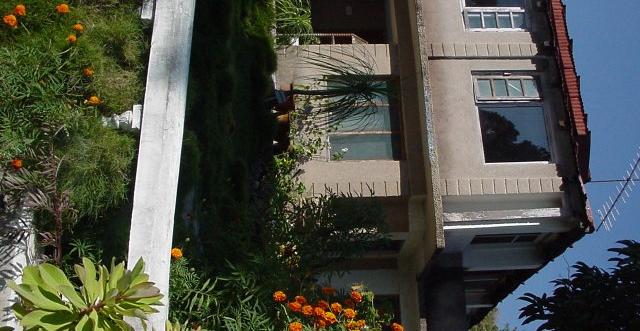 IvyTop Resort